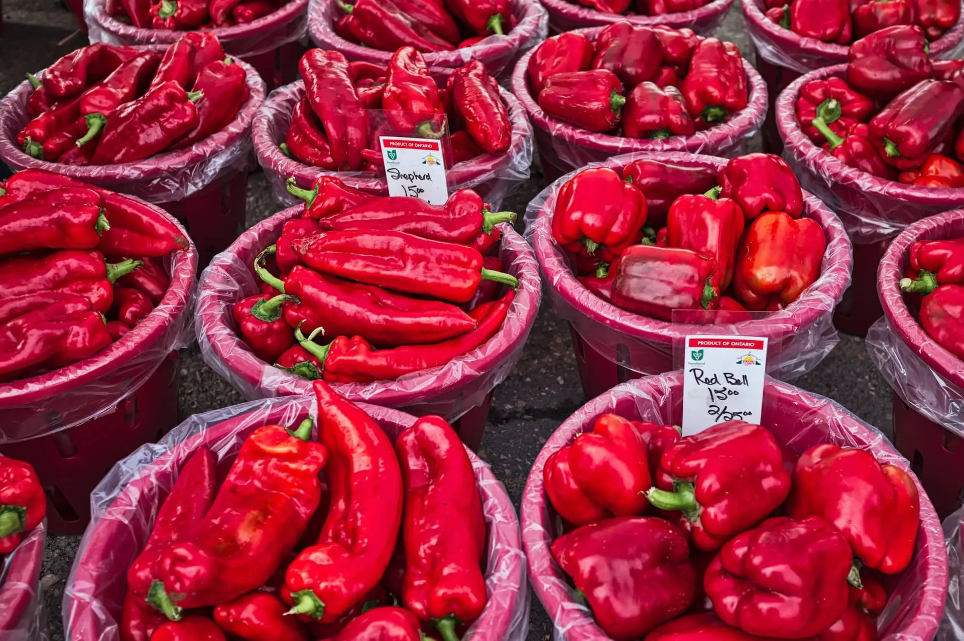 Red peppers at a market